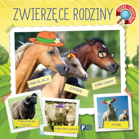 Zwierzęce Rodziny Rosnę I Odkrywam Zwierzęce Rodziny Rosnę I Odkrywam