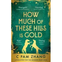 HOW MUCH OF THESE HILLS IS GOLD C Pam Zhang - Virago