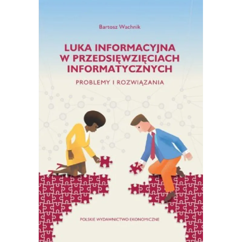 LUKA INFORMACYJNA W PRZEDSIĘWZIĘCIACH INFORMATYCZNYCH. PROBLEMY I ROZWIĄZANIA Bartosz Wachnik - PWE