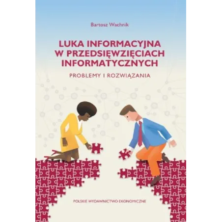 Luka Informacyjna W Przedsięwzięciach Informatycznych. Problemy I Rozwiązania