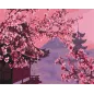 Sakura W Japoni Zestaw Do Malowania Po Numerach 40 X 50 Cm