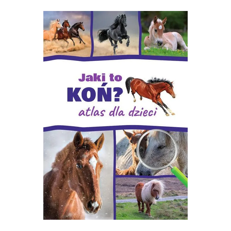 JAKI TO KOŃ? ATLAS DLA DZIECI Kamila Twardowska, Jacek Twardowski - SBM