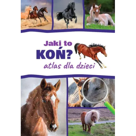 JAKI TO KOŃ? ATLAS DLA DZIECI Kamila Twardowska, Jacek Twardowski - SBM