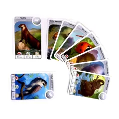 CARDLINE ZWIERZĘTA GRA KARCIANA 7+ - Rebel