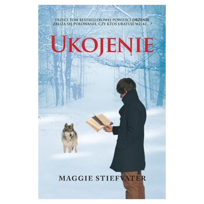 UKOJENIE Maggie Stiefvater - Wilga