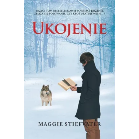 UKOJENIE Maggie Stiefvater - Wilga