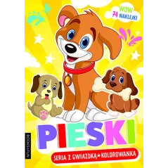 PIESKI KOLOROWANKA - Books & Fun