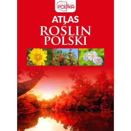ATLAS ROŚLIN POLSKI - Dragon