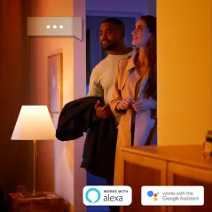 INTELIGENTNA ŻARÓWKA PHILIPS HUE ED E27 9W 2200-6500K - Philips
