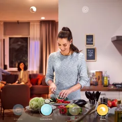 INTELIGENTNA ŻARÓWKA PHILIPS HUE ED E27 9W 2200-6500K