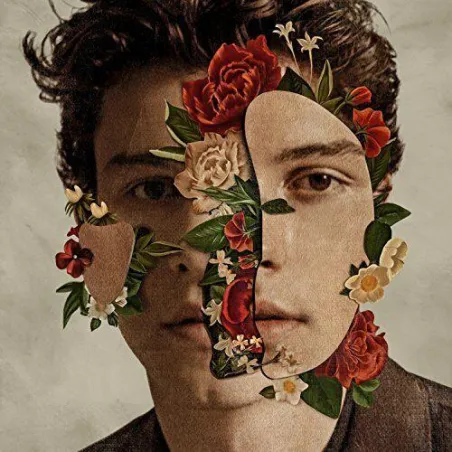 SHAWN MENDES CD - Universal Music Polska