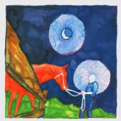 CALEXICO IRON AND WINE IN THE REINS CD - Universal Music Polska