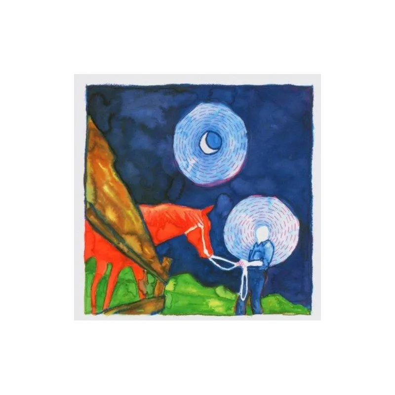 CALEXICO IRON AND WINE IN THE REINS CD - Universal Music Polska