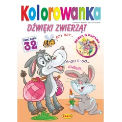 DŹWIĘKI ZWIERZĄT KOLOROWANKA - Pasja