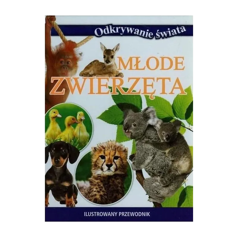 ODKRYWANIE ŚWIATA. MŁODE ZWIERZĘTA - Olesiejuk