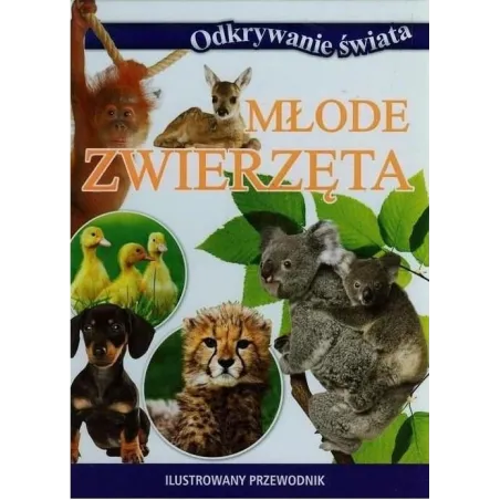 ODKRYWANIE ŚWIATA. MŁODE ZWIERZĘTA - Olesiejuk