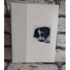 ALBUM NA 100 ZDJEĆ 10X15 CM - Goldbuch