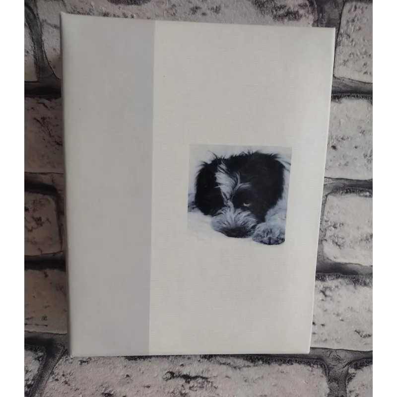 ALBUM NA 100 ZDJEĆ 10X15 CM - Goldbuch