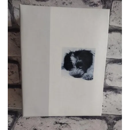 ALBUM NA 100 ZDJEĆ 10X15 CM - Goldbuch