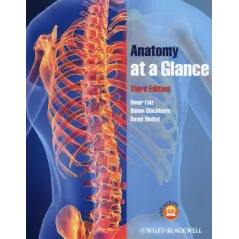 ANATOMY AT A GLANCE - Wiley