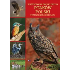 ILUSTROWANA ENCYKLOPEDIA PTAKÓW POLSKI. PRZEWODNIK ORNITOLOGA - Fenix