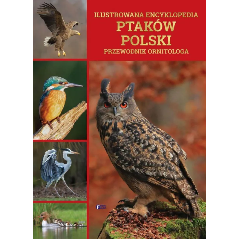 ILUSTROWANA ENCYKLOPEDIA PTAKÓW POLSKI. PRZEWODNIK ORNITOLOGA - Fenix