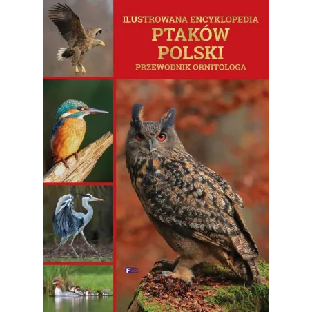 ILUSTROWANA ENCYKLOPEDIA PTAKÓW POLSKI. PRZEWODNIK ORNITOLOGA - Fenix