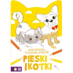 PIESKI I KOTKI. KOLOROWANKI NA KAŻDĄ POGODĘ 4+ - Zielona Sowa