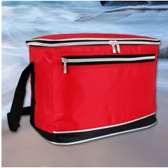 TORBA TERMICZNA 8L