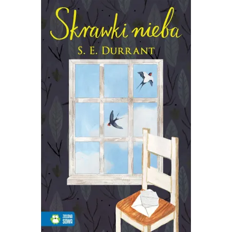 Skrawki Nieba S. E. Durrant 9+