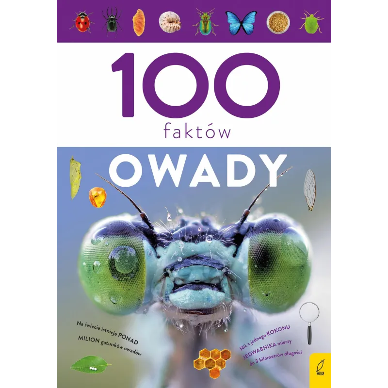 OWADY. 100 FAKTÓW - Wilga