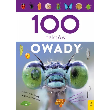 OWADY. 100 FAKTÓW - Wilga