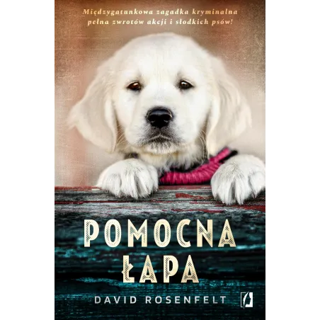Pomocna Łapa Pomocna Łapa