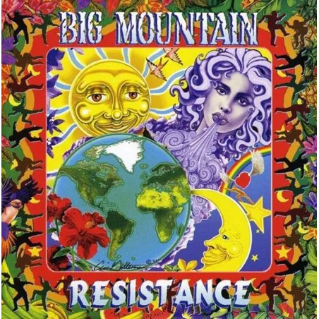 BIG MOUNTAIN RESISTANCE CD