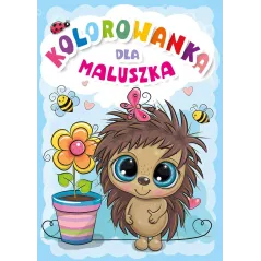 KOLOROWANKA DLA MALUSZKA