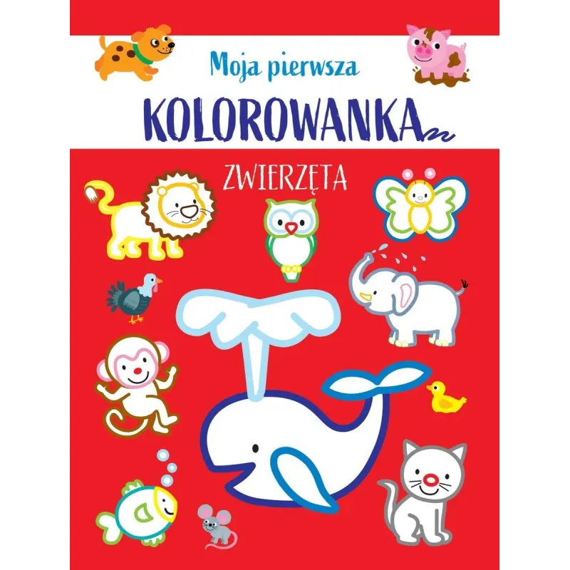 ZWIERZĘTA. MOJA PIERWSZA KOLOROWANKA