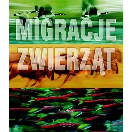 MIGRACJE ZWIERZĄT Ben Hoare