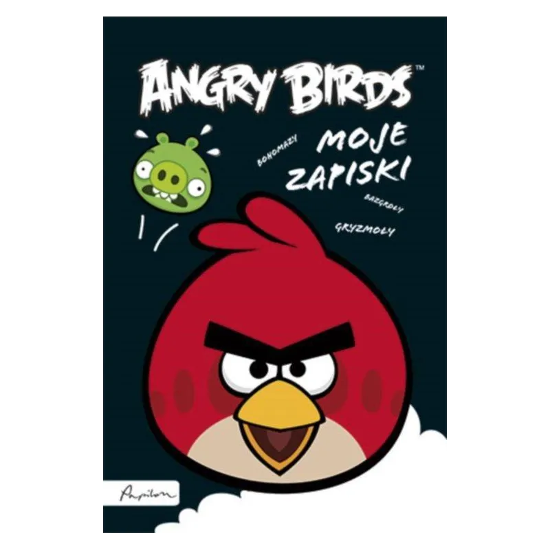 ANGRY BIRDS. MOJE ZAPISKI