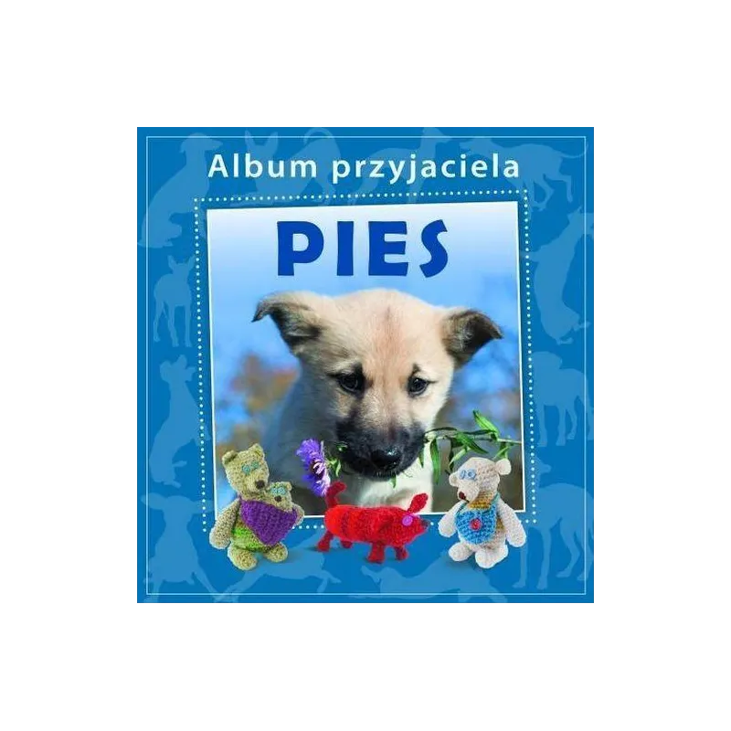 Wiktoria Międzybrodzka