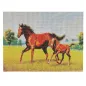 Dwa Konie Mozaika Haft Diamentowy Zestaw Diy 40 X 50 Cm