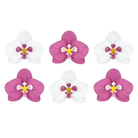 Papierowe Kwiaty 6 Sztuk Papierowe Kwiaty 6 Sztuk