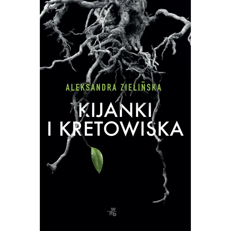KIJANKI I KRETOWISKA Aleksandra Zielińska - WAB KIJANKI I KRETOWISKA Aleksandra Zielińska - WAB