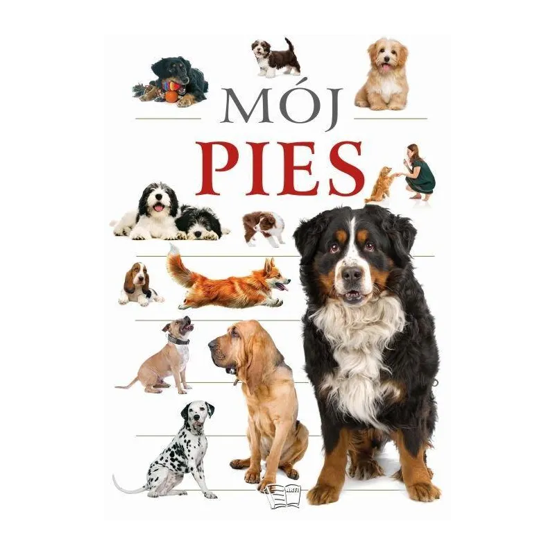 MÓJ PIES