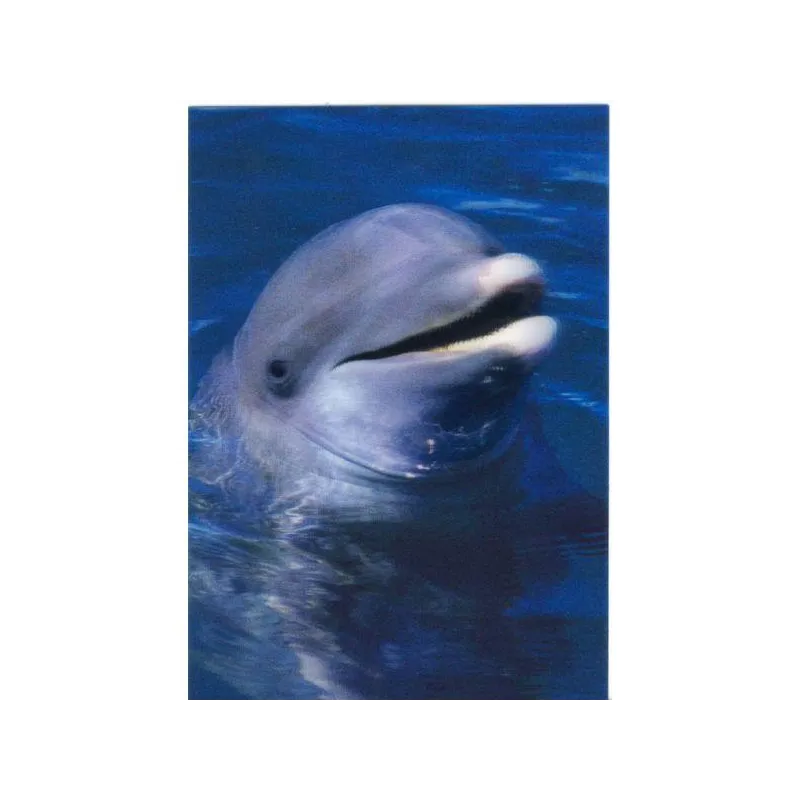 KARTKA POCZTÓWKA TRÓJWYMIAROWA DELFIN 3D