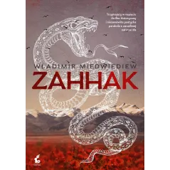 Władimir Medwiediew