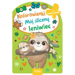 MÓJ ŚLICZNY LENIWIEC. KOLOROWANKA Z NAKLEJKAMI