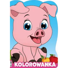 Opracowanie zbiorowe