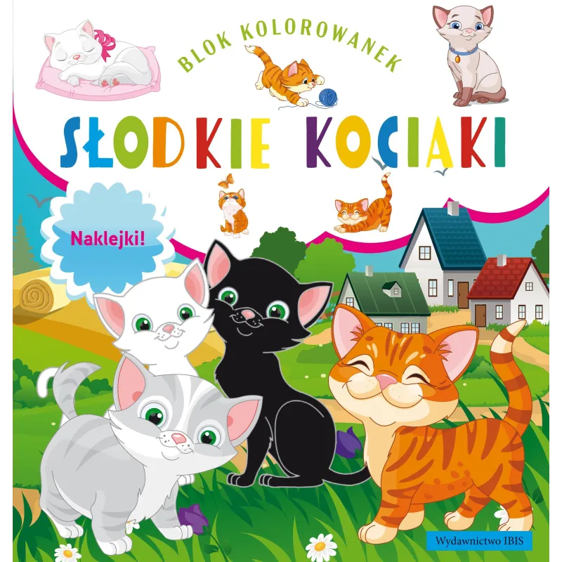 Słodkie kociaki. Blok kolorowanek  naklejki