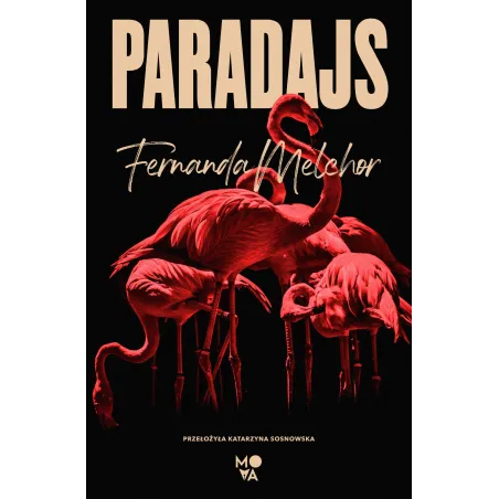 Paradajs Paradajs