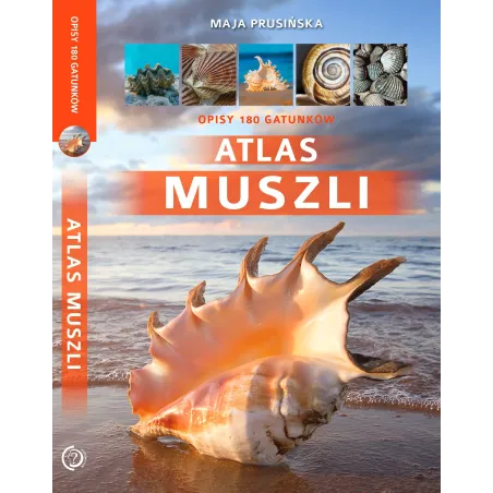 ATLAS MUSZLI Maja Prusińska - SBM